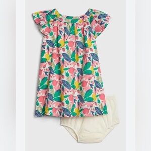 Gap Baby Ruffle Sleeve Dress with Headband Diaper Cover Size 3-6mo